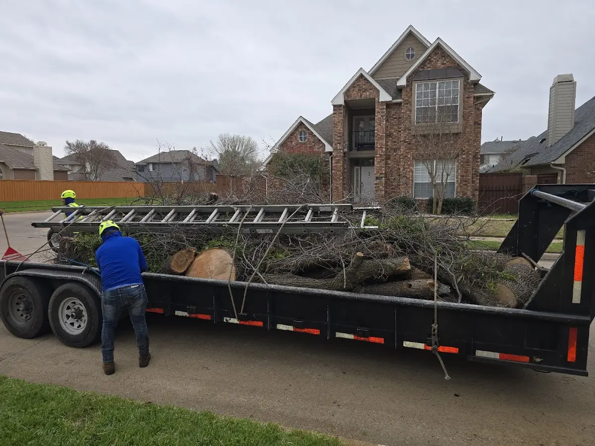 Expert Tree Pest Control with proper safety equipment in Ithaca